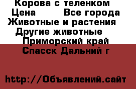 Корова с теленком › Цена ­ 69 - Все города Животные и растения » Другие животные   . Приморский край,Спасск-Дальний г.